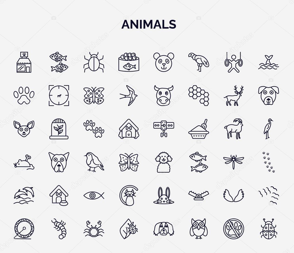 set of animals web icons in outline style. thin line icons such as pet shop, caviar, paw, pawprint, poodle, doghouse, black cat, wing, bug on leaf icon.