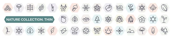 set of nature collection. thin icons in outline style. thin line icons such as bougainvillea, vanilla, snail, bergamot, iris, cliff, poplar, iceberg, gemstone icon.