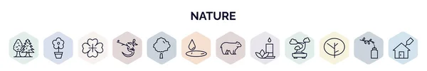 Conjunto Iconos Web Naturaleza Estilo Esquema Iconos Línea Delgada Como — Vector de stock