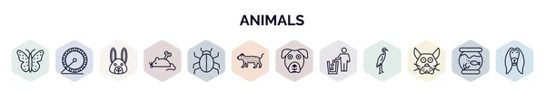 Eine Reihe Von Web Symbolen Für Tiere Umrissstil Thin Line — Stockvektor
