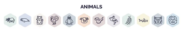 Conjunto Animales Iconos Web Estilo Contorno Iconos Línea Delgada Como — Vector de stock