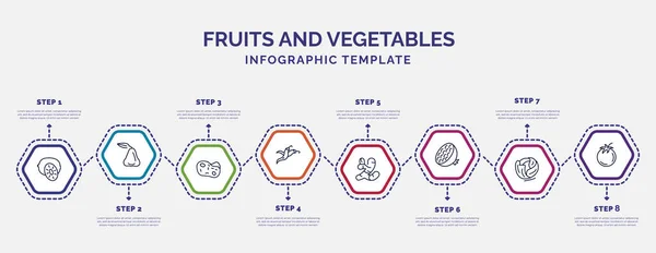 Plantilla Infografía Con Iconos Opciones Pasos Infografía Para Concepto Frutas — Archivo Imágenes Vectoriales