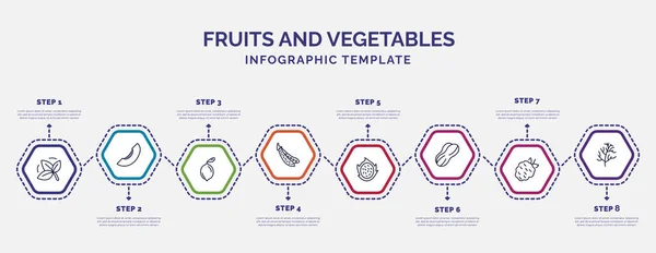 Plantilla Infografía Con Iconos Opciones Pasos Infografía Para Concepto Frutas — Vector de stock