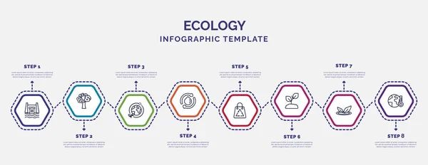 Modèle Infographique Avec Des Icônes Options Étapes Infographie Pour Concept — Image vectorielle