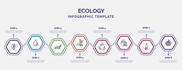 Modèle Infographique Avec Des Icônes Options Étapes Infographie Pour Concept — Image vectorielle