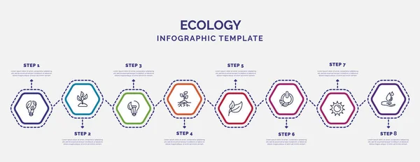 Plantilla Infografía Con Iconos Opciones Pasos Infografía Para Concepto Ecología — Vector de stock