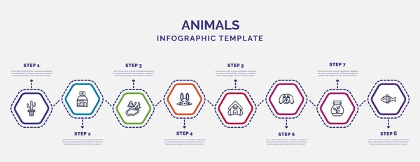 Modelo Infográfico Com Ícones Opções Passos Infográfico Para Conceito Animais —  Vetores de Stock