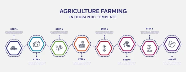 具有图标和8个选项或步骤的信息图形模板 农业耕作概念的信息图表 包括稻草包 自给自足 聪明的农场 鸡蛋图标 — 图库矢量图片