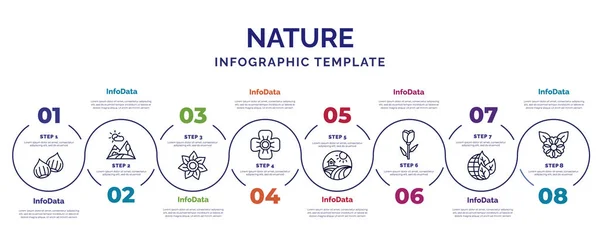 infographic template with icons and 8 options or steps. infographic for nature concept. included chestnut, gardenia, poppy, field, tulip, eco globe, flower icons.