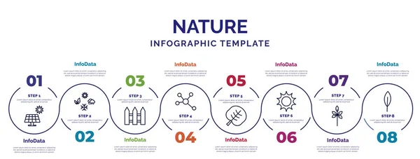 Modelo Infográfico Com Ícones Opções Passos Infográfico Para Conceito Natureza — Vetor de Stock