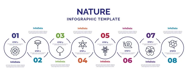 Modelo Infográfico Com Ícones Opções Passos Infográfico Para Conceito Natureza — Vetor de Stock