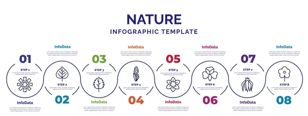 Modelo Infográfico Com Ícones Opções Passos Infográfico Para Conceito Natureza — Vetor de Stock