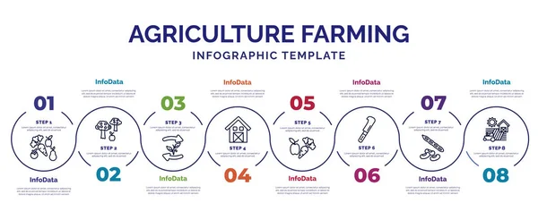 Plantilla Infografía Con Iconos Opciones Pasos Infografía Para Concepto Agricultura — Archivo Imágenes Vectoriales