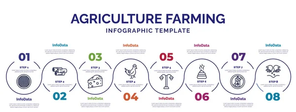 Plantilla Infografía Con Iconos Opciones Pasos Infografía Para Concepto Agricultura — Archivo Imágenes Vectoriales