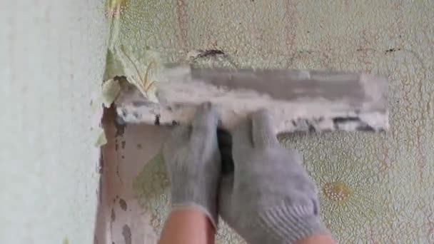 Duvardan eski duvar kağıtlarını spatula ve doğaçlama araçlarla kazımak, kendi başına bir apartman dairesini onarmak. — Stok video