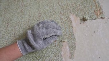 Duvardan eski duvar kağıtlarını spatula ve doğaçlama araçlarla kazımak, kendi başına bir apartman dairesini onarmak.