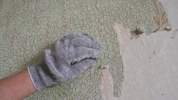 Skrapa gamla tapeter från väggen med spatlar och improviserade medel, reparera en lägenhet på egen hand — Stockvideo