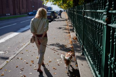 Hafif gündelik giysiler içindeki genç sarışın kadın Cavalier King Charles Spaniel köpeğiyle yürür. Küçük bir şehir olan Kronstadt 'ın tarihi merkezinde. Güneşli bir günde kaldırım taşları boyunca.
