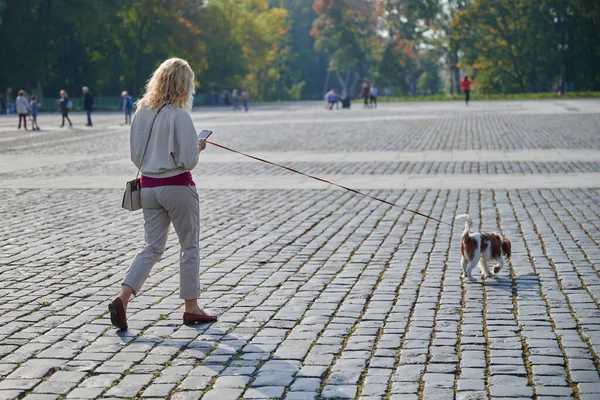 Młoda blondynka w lekkich ubraniach spaceruje z psem Cavalier King Charles Spaniel w historycznym centrum małego miasteczka Kronstadt w słoneczny piękny dzień wzdłuż bruku — Zdjęcie stockowe