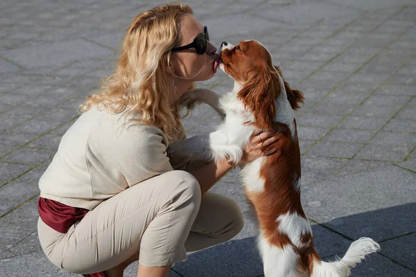 Młoda blondynka w lekkich ubraniach spaceruje z psem Cavalier King Charles Spaniel w historycznym centrum małego miasteczka Kronstadt w słoneczny piękny dzień wzdłuż bruku — Zdjęcie stockowe