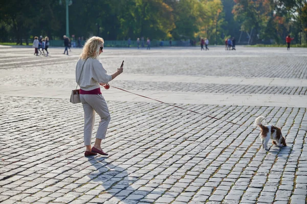 Mujer rubia joven en ropa casual ligera pasea con un perro Cavalier King Charles Spaniel en el centro histórico de la pequeña ciudad de Kronstadt en un día soleado a lo largo de los adoquines — Foto de Stock