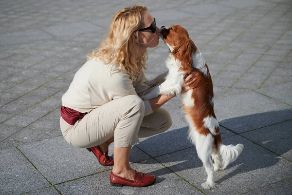 Młoda blondynka w lekkich ubraniach spaceruje z psem Cavalier King Charles Spaniel w historycznym centrum małego miasteczka Kronstadt w słoneczny piękny dzień wzdłuż bruku — Zdjęcie stockowe