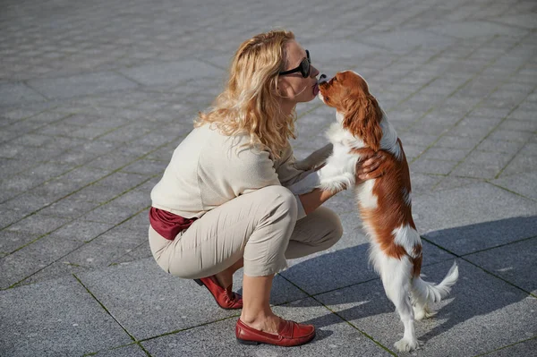 Młoda blondynka w lekkich ubraniach spaceruje z psem Cavalier King Charles Spaniel w historycznym centrum małego miasteczka Kronstadt w słoneczny piękny dzień wzdłuż bruku — Zdjęcie stockowe