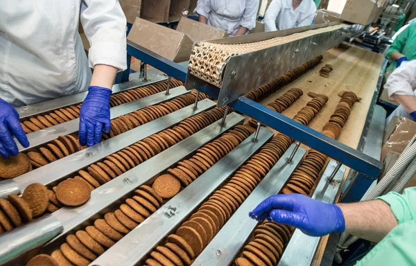 Muitos doces fábrica de alimentos bolo produção maciça — Fotografia de Stock