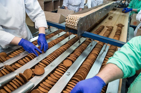 Muitos doces fábrica de alimentos bolo produção maciça — Fotografia de Stock