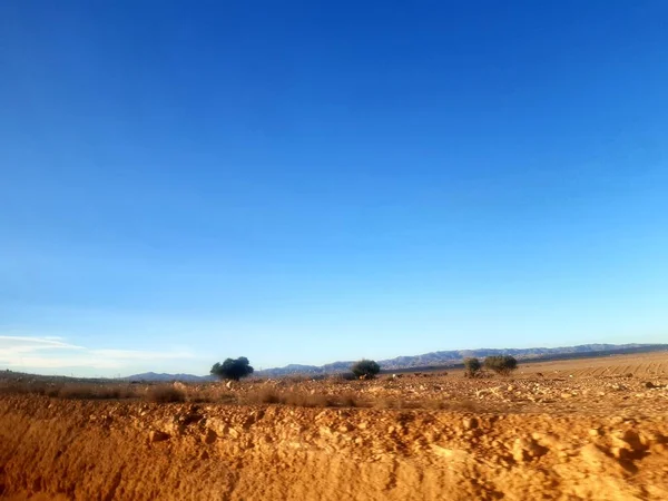 Rocky Landscape Blue Sky Its Vegetation — Stockfoto