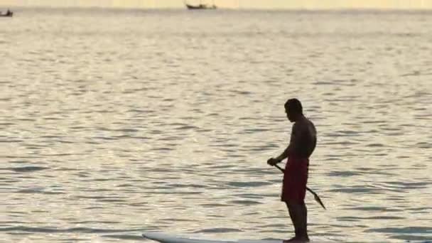 Postav se pádlo palubě muž paddleboarding při západu slunce — Stock video