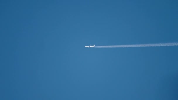 Flyger högt i den blå himlen — Stockvideo