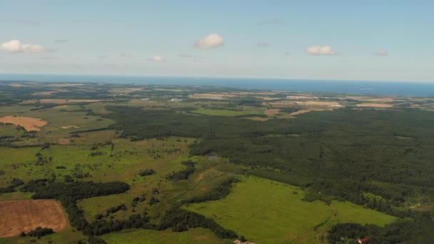 Boschi e campi verdi, vista dall'alto — Video Stock