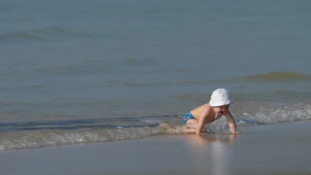 热带海滩上的宝宝 — 图库视频影像