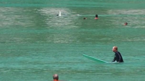 Серфинг на острове Пхукет — стоковое видео