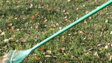 Sonbahar Bahçe temizliği