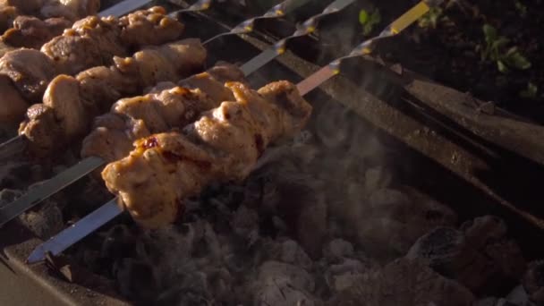 Grillmat kött, grill — Stockvideo