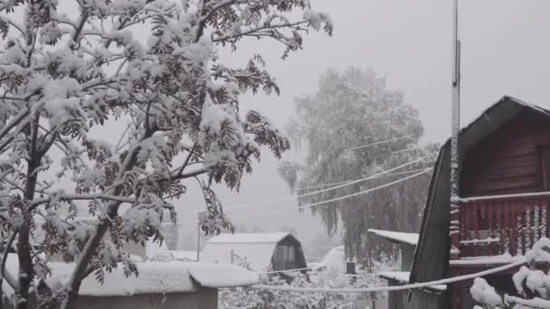 Vinterträdgård i byn — Stockvideo