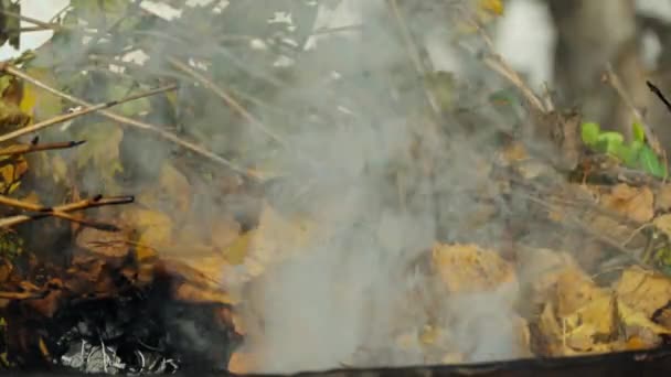 Brucia foglie autunnali, fumo — Video Stock