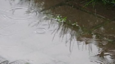 Su birikintisindeki yağmur damlaları, yaz