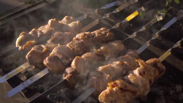 Shish kebab dimasak di panggangan — Stok Video