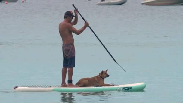 Mężczyzna z psem na desce surfingowej — Wideo stockowe