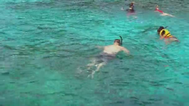 Snorkelling in the clear turquoise water — Stock Video