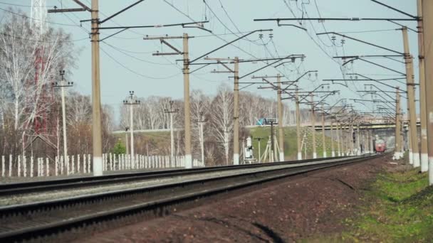 Tren de pasajeros en el campo — Vídeo de stock