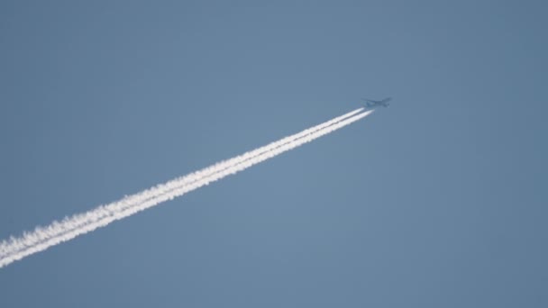 Volando alto en el cielo azul — Vídeo de stock