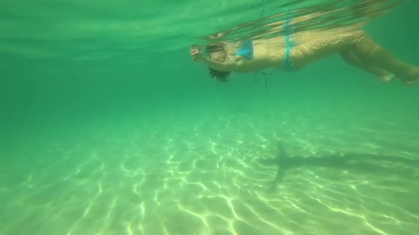 熱帯海での水中水泳 — ストック動画