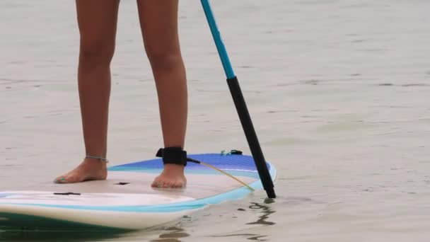 Mädchen auf einem SUP-Board mit einem Paddel — Stockvideo