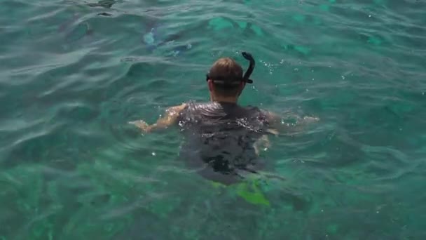 Snorkelling in the clear turquoise water — Stock Video