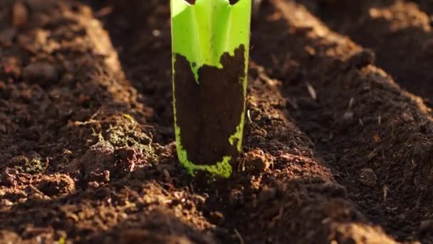 Voorbereiding van de grond voor aanplant — Stockvideo