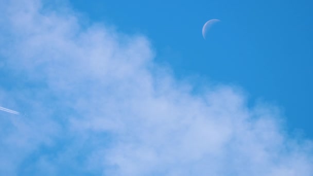 Voler haut près du croissant de lune — Video